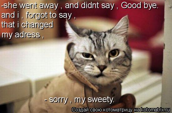 Котоматрица: -she went away , and didnt say , Good bye. and i , forgot to say ,  that i changed my adress , - sorry , my sweety.