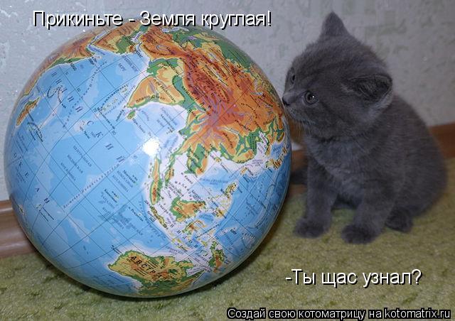 Котоматрица: Прикиньте - Земля круглая! -Ты щас узнал?