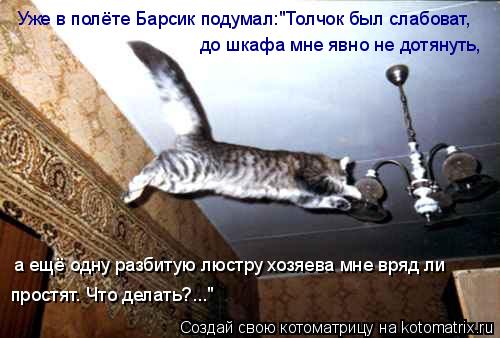Котоматрица: Уже в полёте Барсик подумал:"Толчок был слабоват, до шкафа мне явно не дотянуть, а ещё одну разбитую люстру хозяева мне вряд ли  простят. Что 