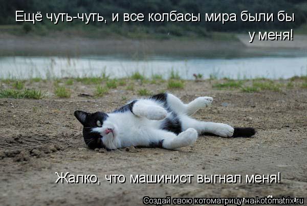 Котоматрица: Ещё чуть-чуть, и все колбасы мира были бы у меня! Жалко, что машинист выгнал меня!