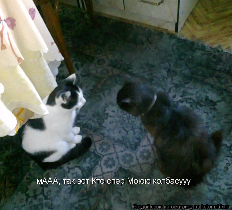 Котоматрица: мААА, так вот Кто спер Моюю колбасууу