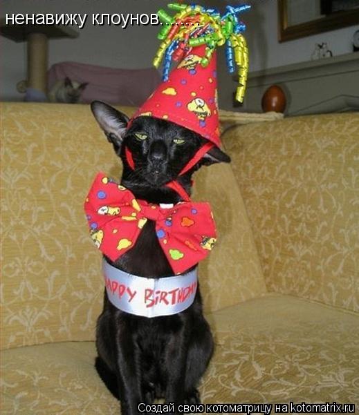 Котоматрица: ненавижу клоунов........