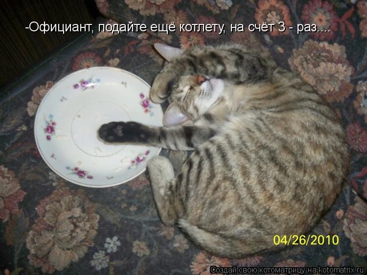 Котоматрица: -Официант, подайте ещё котлету, на счёт 3 - раз....