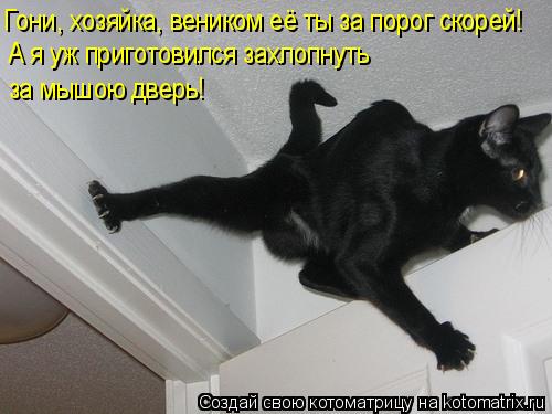 Гони, хозяйка, веником её ты за порог скорей! А я уж приготовился захлопнуть за мышою дверь!... Котоматрица: Гони, хозяйка, веником её ты за порог скорей! А я уж приготовился захлопнуть за мышою дверь!