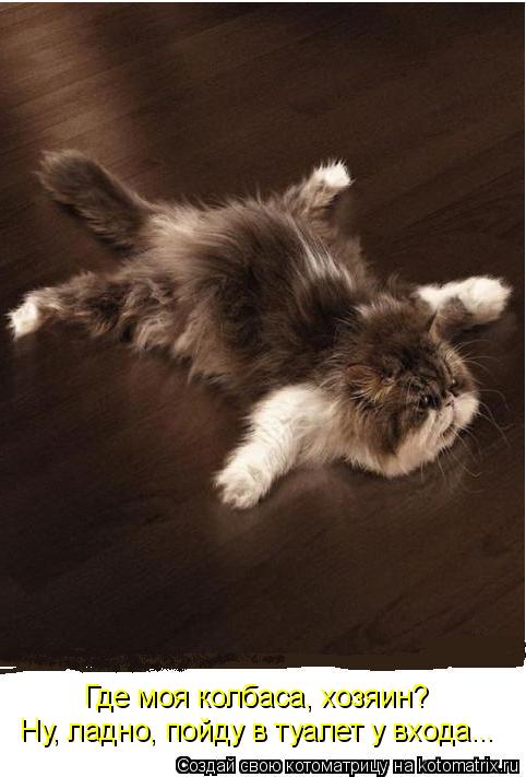 Котоматрица: Где моя колбаса, хозяин? Ну, ладно, пойду в туалет у входа...