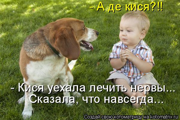 - А де кися?!! - Кися уехала лечить нервы... Сказала, что навсегда...... Котоматрица: - А де кися?!! - Кися уехала лечить нервы... Сказала, что навсегда...