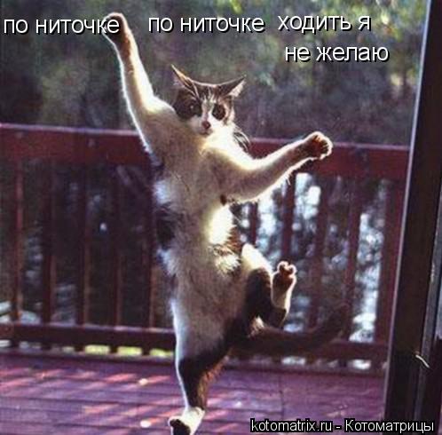 Котоматрица: по ниточке  по ниточке  ходить я не желаю