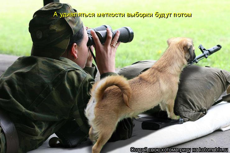 Котоматрица: А удивляться меткости выборки будут потом