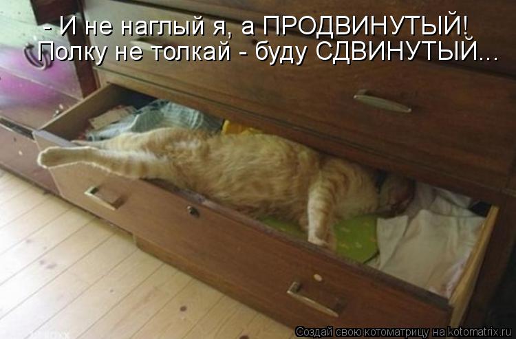 Котоматрица: - И не наглый я, а ПРОДВИНУТЫЙ! Полку не толкай - буду СДВИНУТЫЙ...