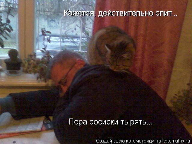 Котоматрица: Кажется, действительно спит...  Пора сосиски тырять...