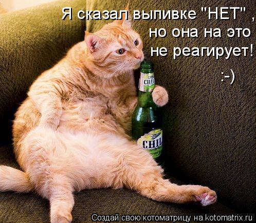 Котоматрица: Я сказал выпивке "НЕТ" ,  но она на это  не реагирует! :-)