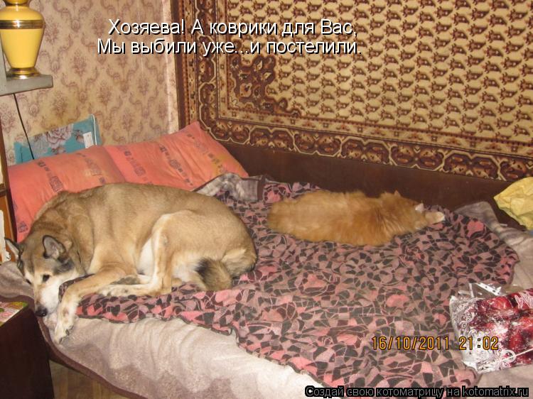 Котоматрица: Хозяева! А коврики для Вас, Мы выбили уже...и постелили.