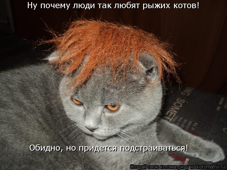 Котоматрица: Ну почему люди так любят рыжих котов! Обидно, но придется подстраиваться!