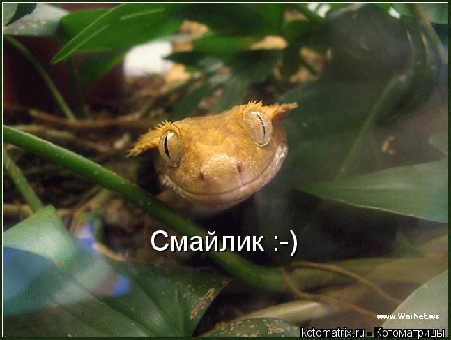 Котоматрица: Смайлик :-)