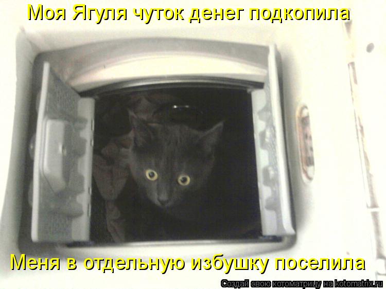 Котоматрица: Моя Ягуля чуток денег подкопила Меня в отдельную избушку поселила