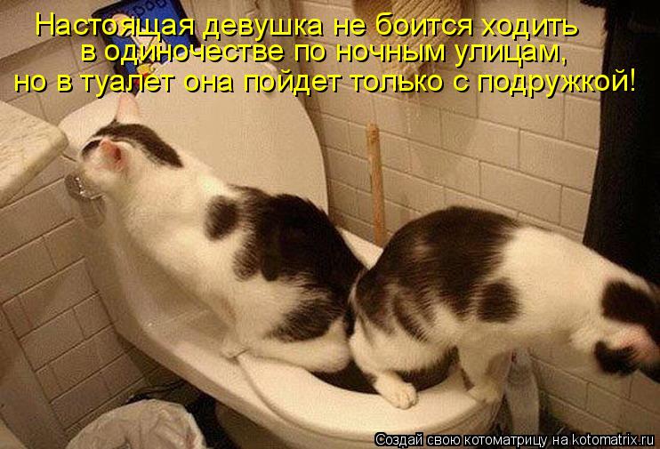 Котоматрица: Настоящая девушка не боится ходить в одиночестве по ночным улицам, но в туалет она пойдет только с подружкой!