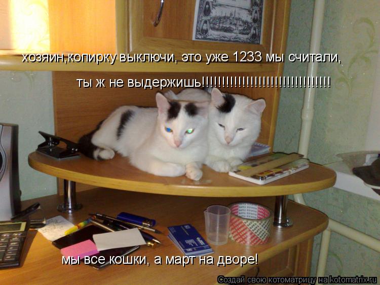 Котоматрица: хозяин,копирку выключи, это уже 1233 мы считали, ты ж не выдержишь!!!!!!!!!!!!!!!!!!!!!!!!!!!!!!!! мы все кошки, а март на дворе!
