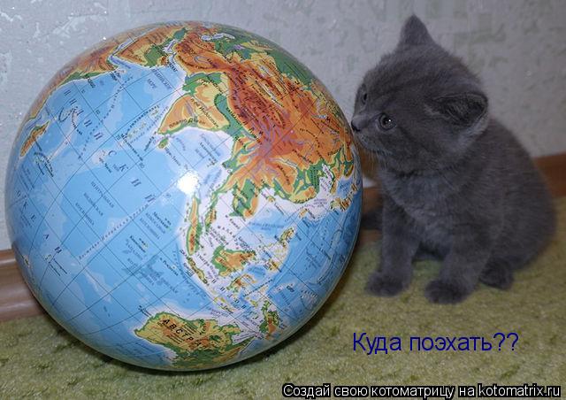 Котоматрица: Куда поэхать??