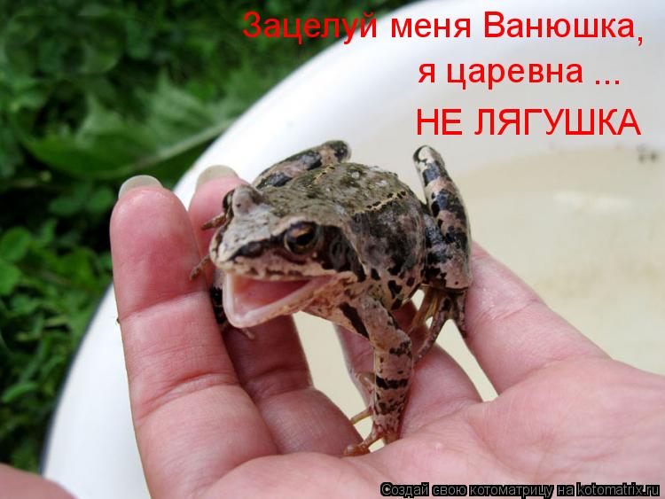 Зацелуй меня Ванюшка , я царевна НЕ ЛЯГУШКА ...... Котоматрица: Зацелуй меня Ванюшка , я царевна НЕ ЛЯГУШКА ...