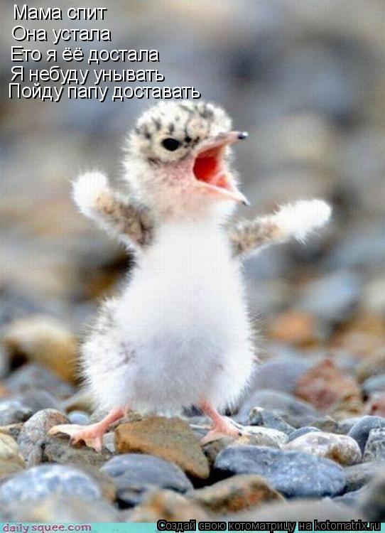 Котоматрица: Мама спит Она устала Ето я ёё достала Я небуду унывать Пойду папу доставать