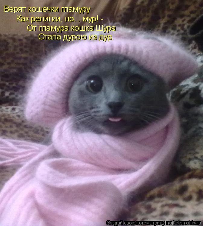 Котоматрица: Верят кошечки гламуру Как религии, но… — мур! - От гламура кошка Шура Стала дурою из дур.