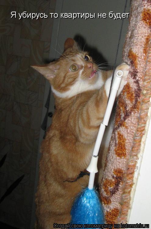 Котоматрица: Я убирусь то квартиры не будет