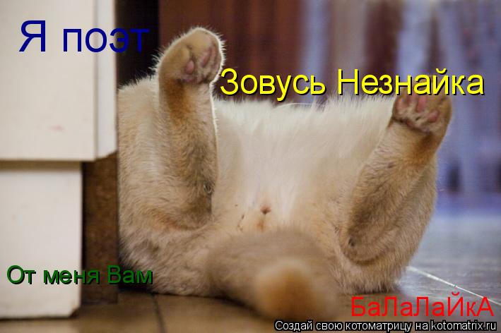 Котоматрица: Я поэт Зовусь Незнайка От меня Вам БаЛаЛаЙкА