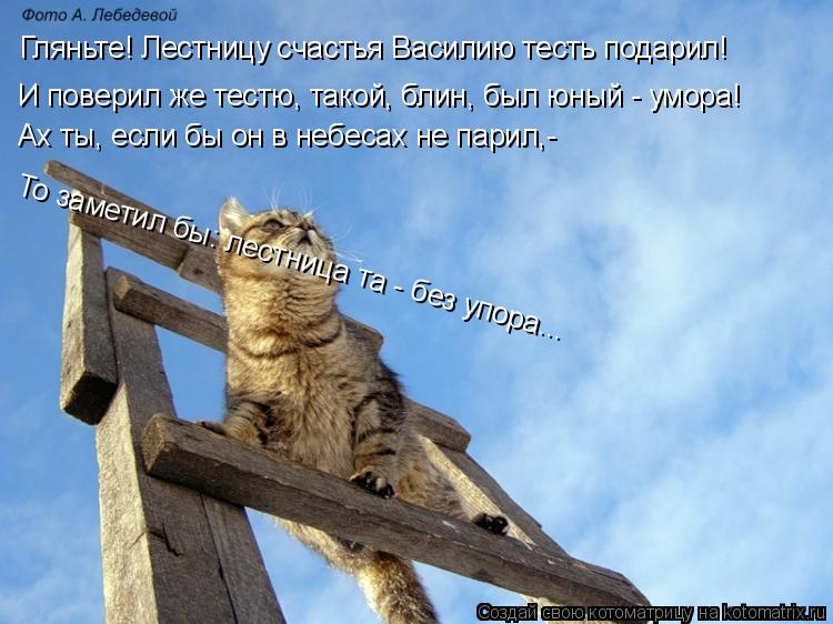 Котоматрица: И поверил же тестю, такой, блин, был юный - умора! Гляньте! Лестницу счастья Василию тесть подарил! Ах ты, если бы он в небесах не парил,- То зам