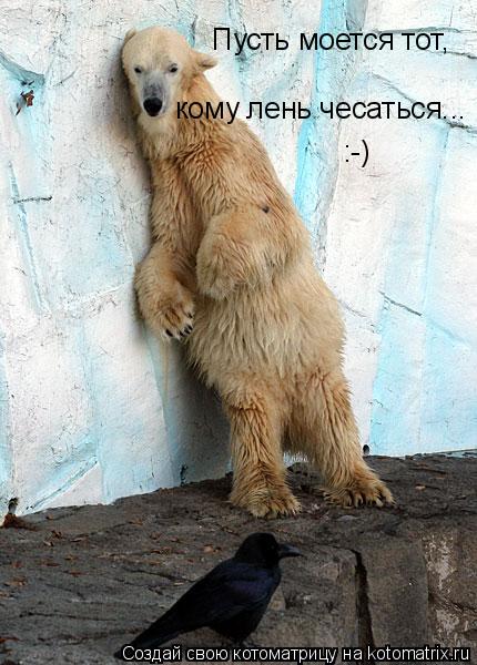 Котоматрица: Пусть моется тот, кому лень чесаться...   :-)