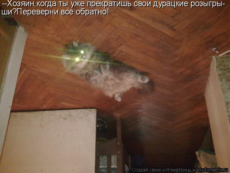 Котоматрица: --Хозяин,когда ты уже прекратишь свои дурацкие розыгры- ши?Переверни всё обратно!