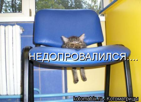 Котоматрица: НЕДОПРОВАЛИЛСЯ....