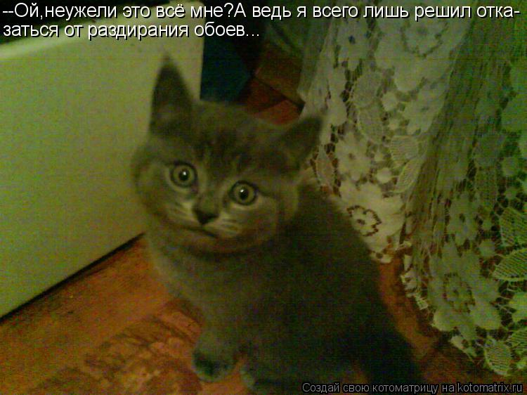 Котоматрица: --Ой,неужели это всё мне?А ведь я всего лишь решил отка- заться от раздирания обоев...