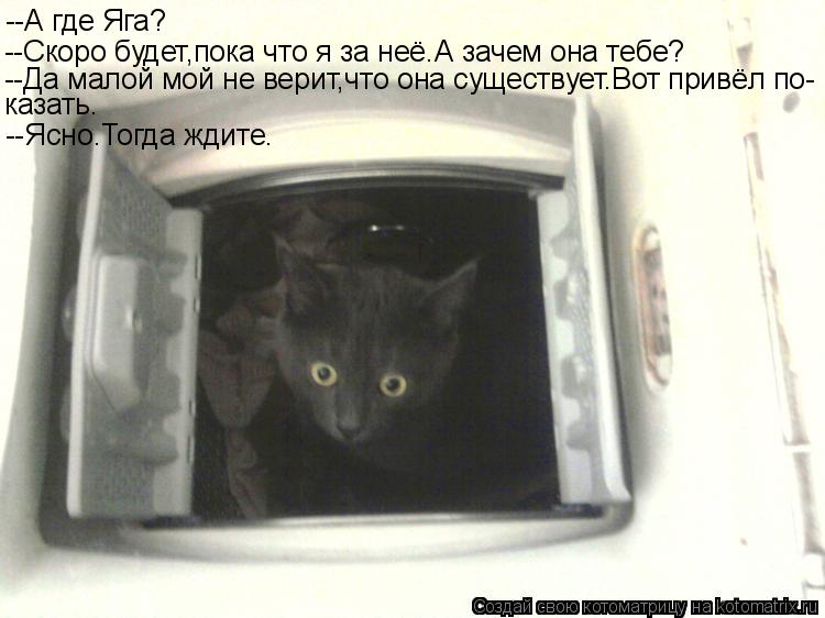 Котоматрица: --А где Яга? --Скоро будет,пока что я за неё.А зачем она тебе? --Да малой мой не верит,что она существует.Вот привёл по- казать. --Ясно.Тогда ждите.