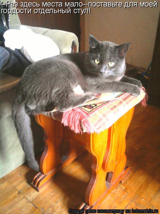 Котоматрица: --Раз здесь места мало--поставьте для моей гордости отдельный стул!