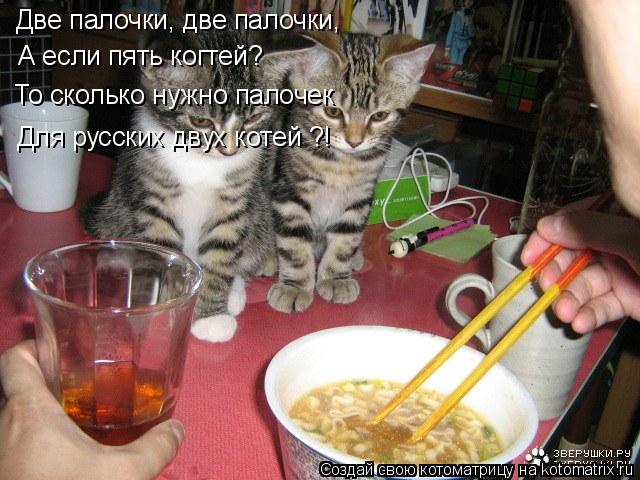 Котоматрица: Две палочки, две палочки, А если пять когтей? То сколько нужно палочек Для русских двух котей ?!