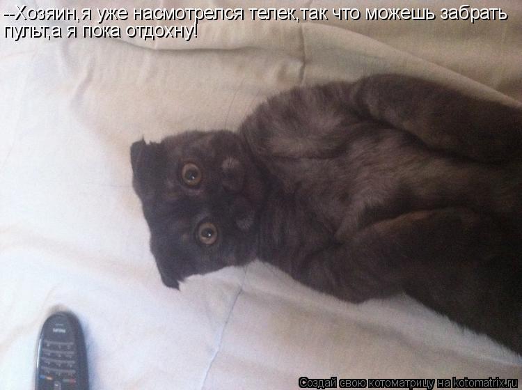 Котоматрица: --Хозяин,я уже насмотрелся телек,так что можешь забрать пульт,а я пока отдохну!