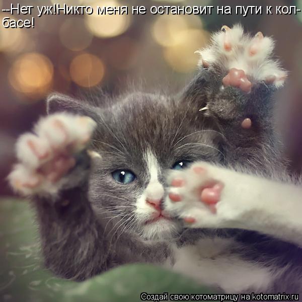 Котоматрица: --Нет уж!Никто меня не остановит на пути к кол- басе!