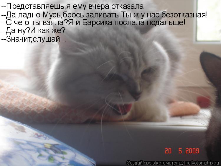 Котоматрица: --Представляешь,я ему вчера отказала! --Да ладно,Мусь,брось заливать!Ты ж у нас безотказная! --С чего ты взяла?Я и Барсика послала подальше! --Да