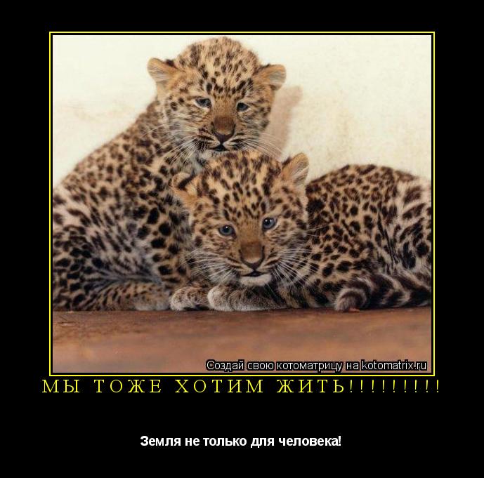 Мы тоже хотим жить!!!!!!!!! Земля не только для человека!... Котоматрица: Мы тоже хотим жить!!!!!!!!! Земля не только для человека!