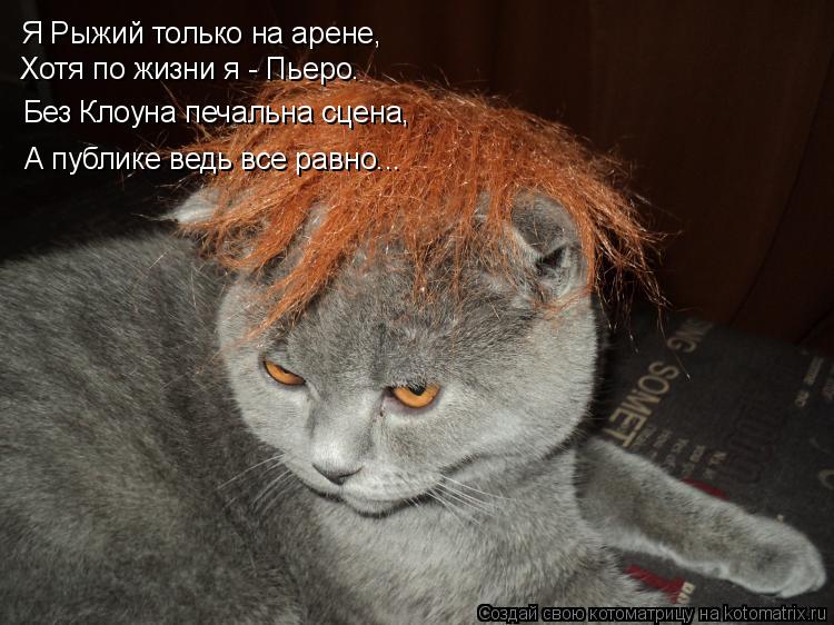 Котоматрица: Я Рыжий только на арене, Хотя по жизни я - Пьеро. Без Клоуна печальна сцена, А публике ведь все равно...