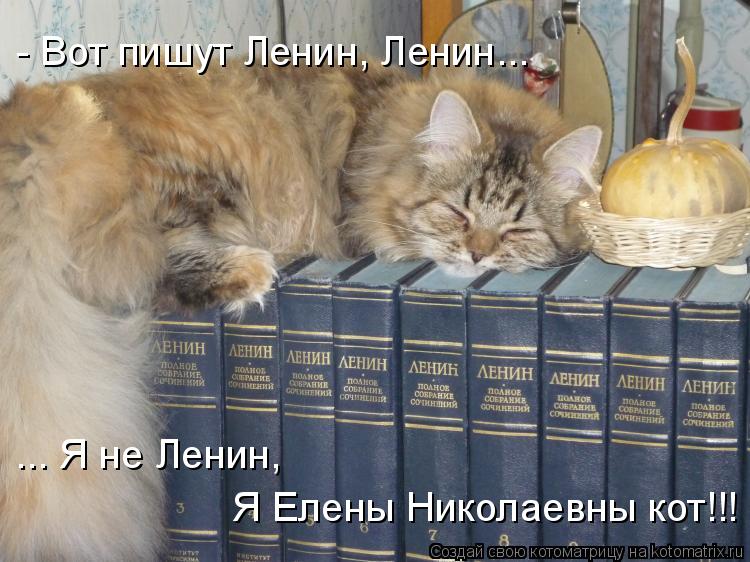Котоматрица: - Вот пишут Ленин, Ленин... ... Я не Ленин,  Я Елены Николаевны кот!!!