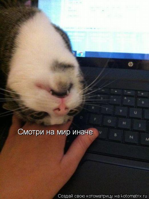 Котоматрица: Смотри на мир иначе