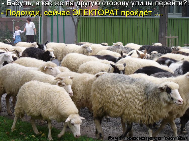 - Бабуль, а как же на другую сторону улицы перейти?! - Подожди, сейчас ЭЛЕКТОРАТ пройдёт ....... Котоматрица: - Бабуль, а как же на другую сторону улицы перейти?! - Подожди, сейчас ЭЛЕКТОРАТ пройдёт ....