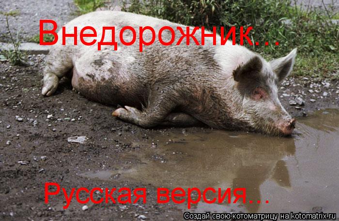 Котоматрица: Внедорожник... Русская версия...