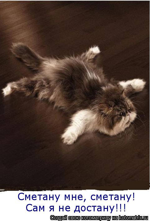 Сметану мне, сметану! Сам я не достану!!!... Котоматрица: Сметану мне, сметану! Сам я не достану!!!