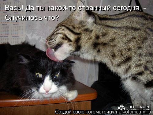 Котоматрица: Вась! Да ты какой-то странный сегодня, - Случилось что?