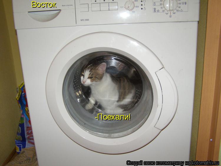Котоматрица: Восток -Поехали!