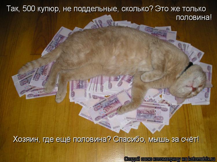 Котоматрица: Так, 500 купюр, не поддельные, сколько? Это же только  половина!  Хозяин, где ещё половина? Спасибо, мышь за счёт!