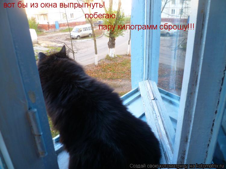 Котоматрица: вот бы из окна выпрыгнуть!  побегаю, пару килограмм сброшу!!!