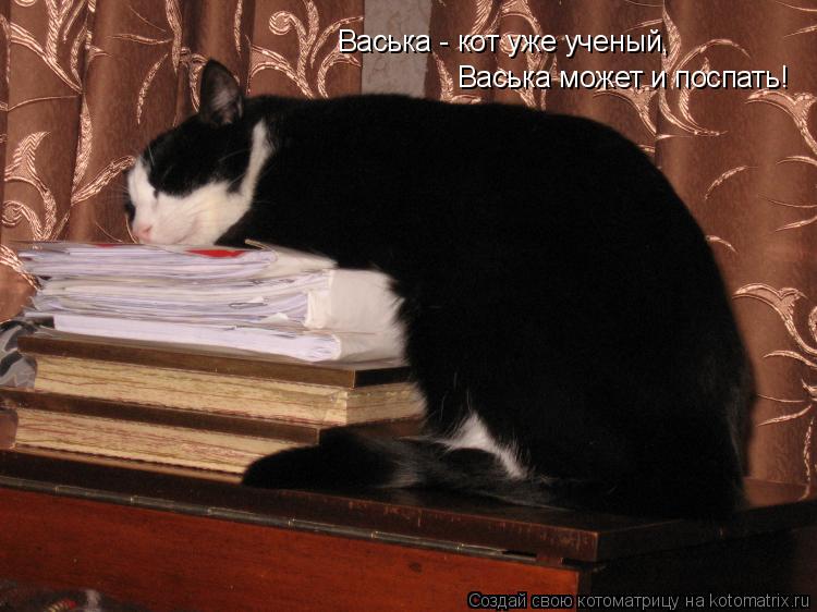 Котоматрица: Васька - кот уже ученый, Васька может и поспать!